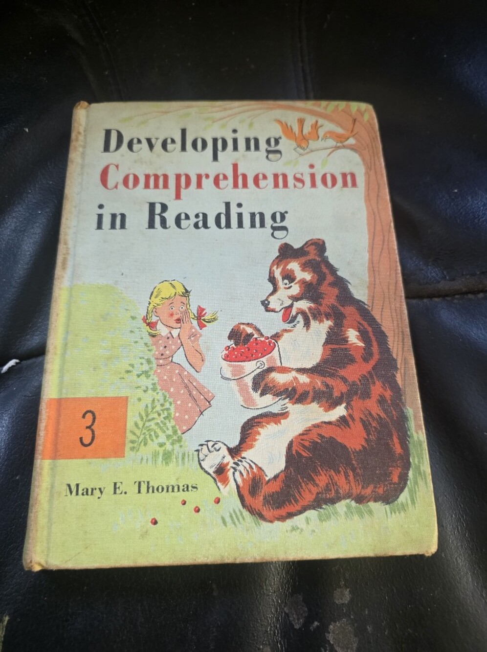 Developing Comprehension In Reading By Mary E. Thomas